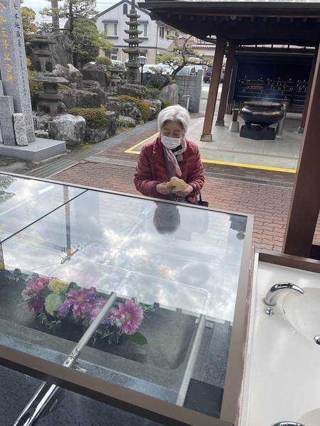 ひだまり