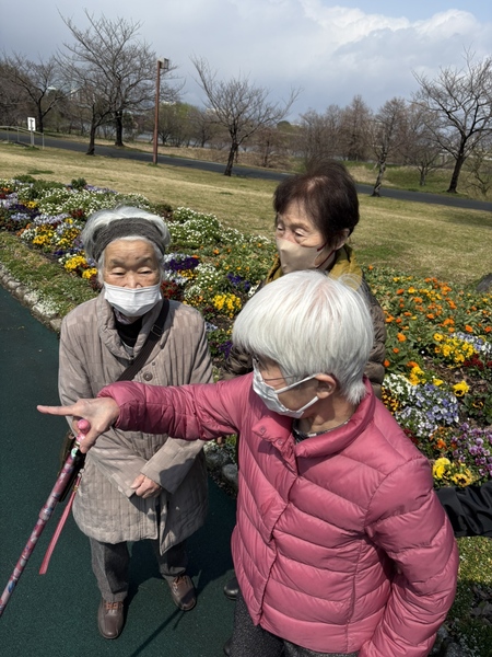 ひだまり