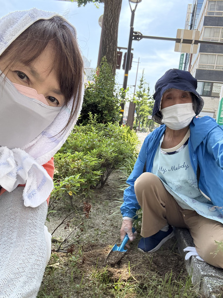 ひだまり