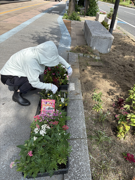 ひだまり