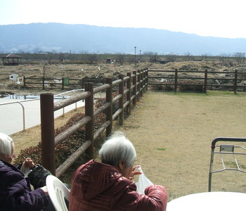 道の駅裏の公園

