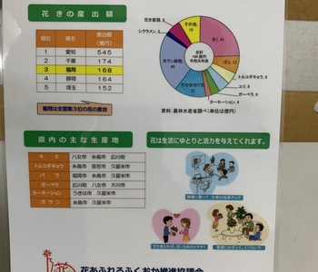 福岡県は花の生産が盛んです。