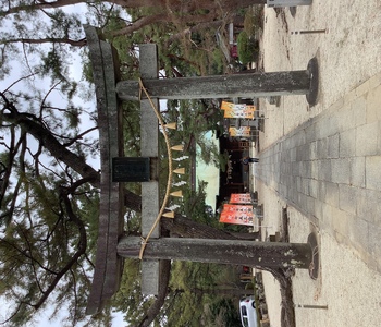 篠山城です
